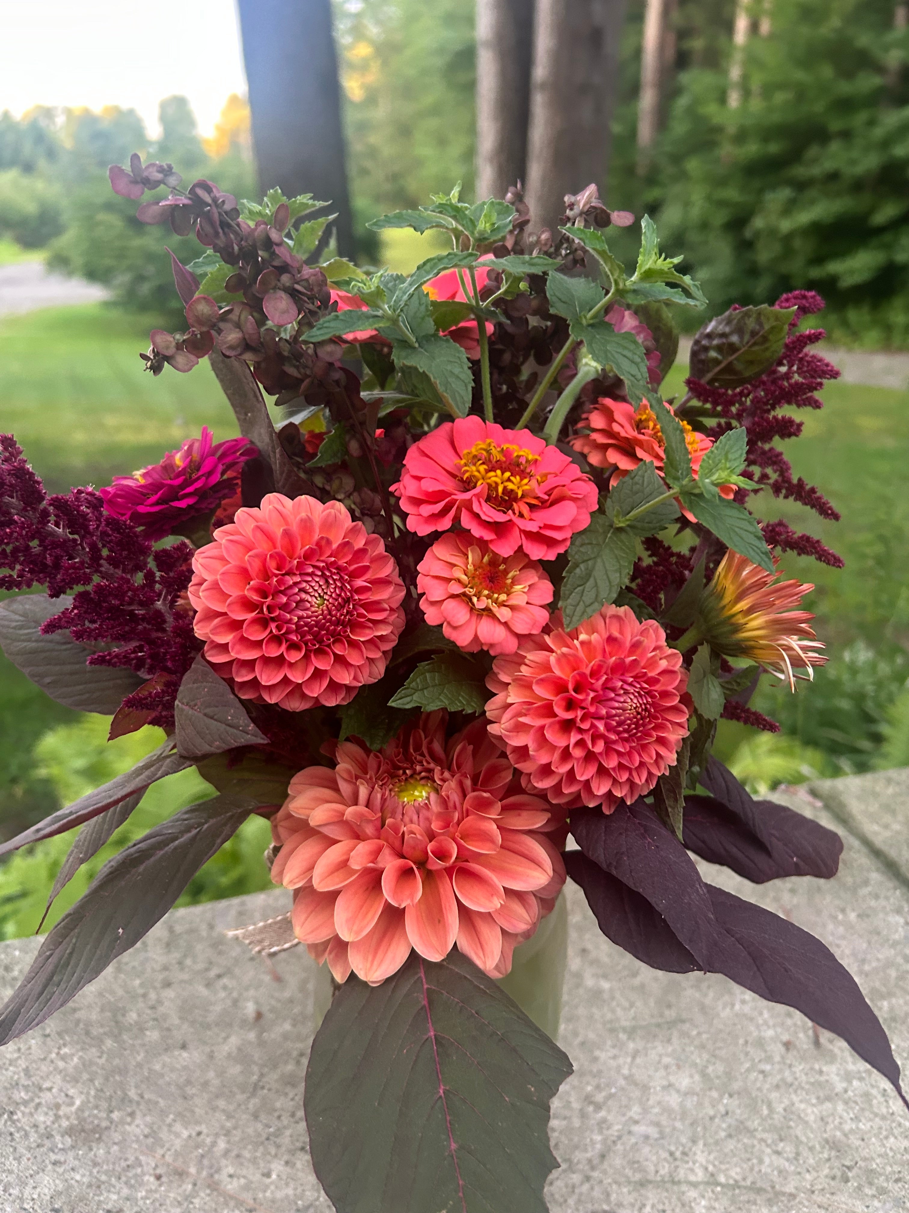 KA’s® Keltie Rose