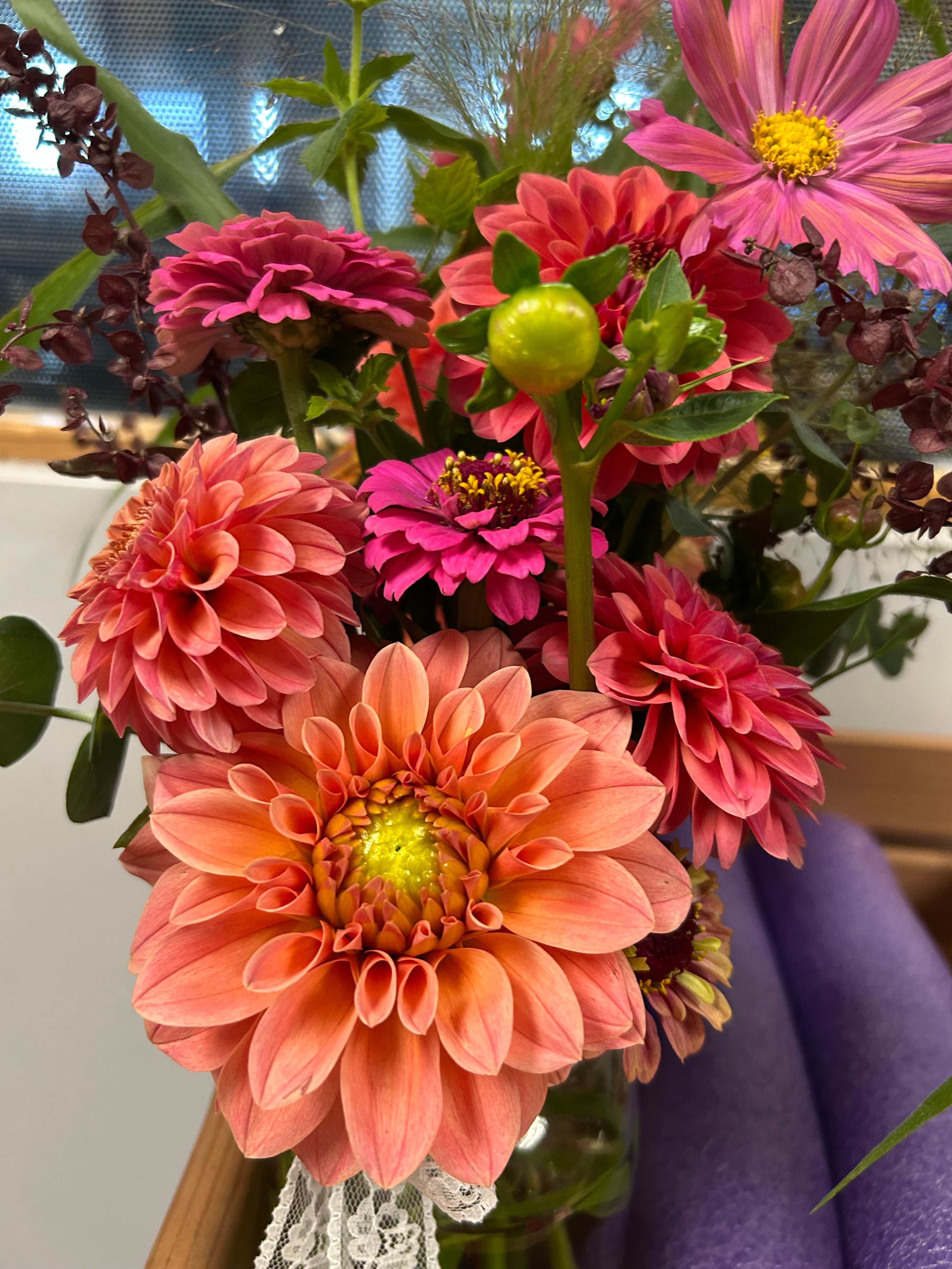 KA’s® Apricot Jam