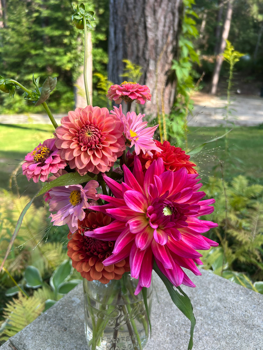 2026 Weekly Summer Subscription