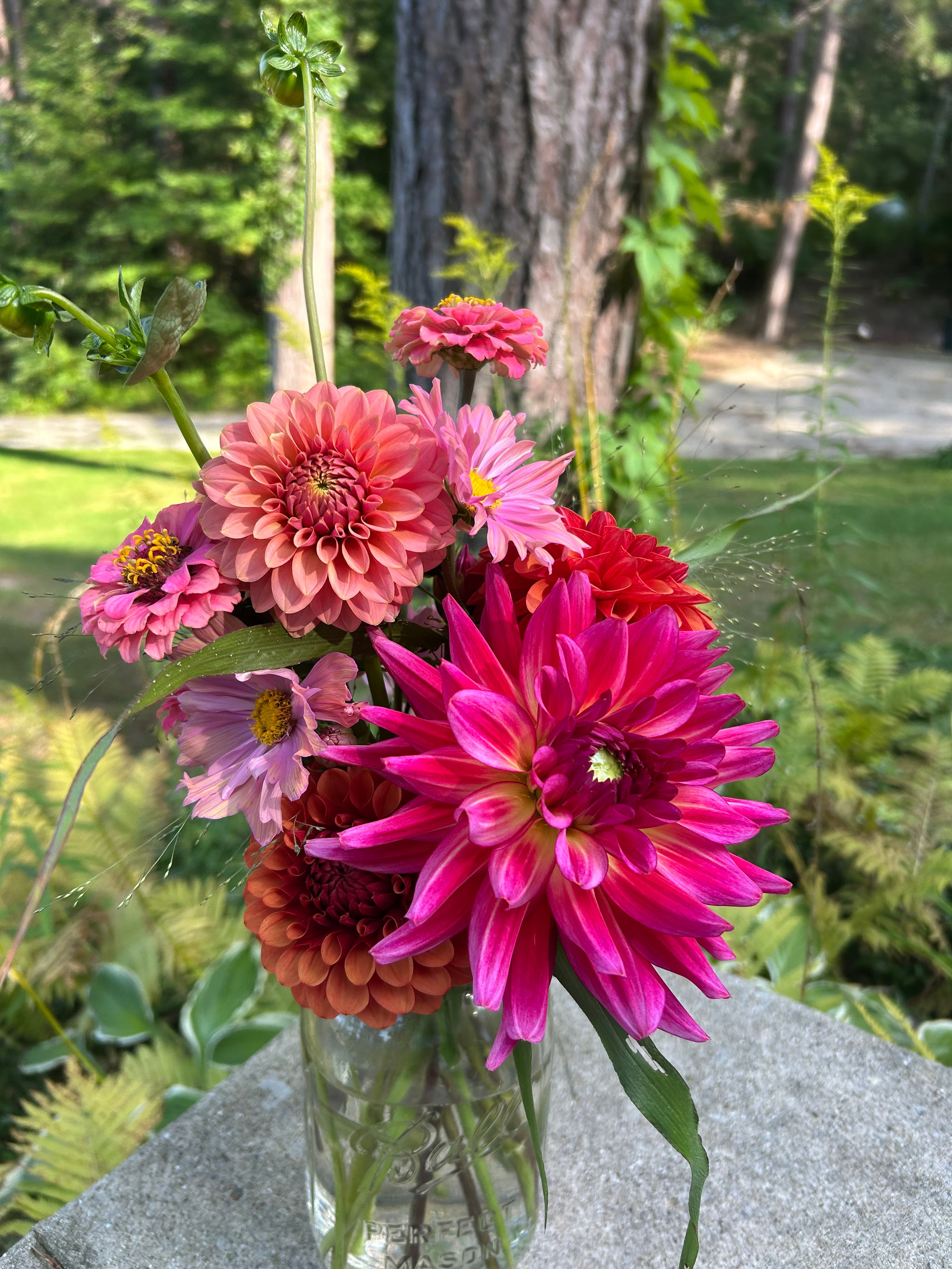 2026 Weekly Summer Subscription