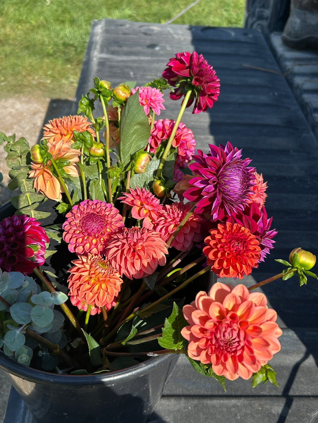 Growers Choice Bundle